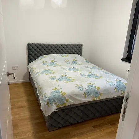 Plava Zvezda 1 Novi Sad